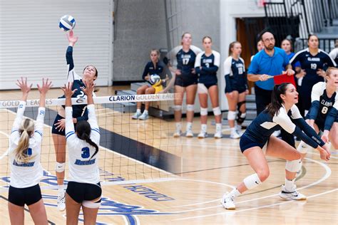 julia piccolino|Volleyball Advances to PSAC Semis with Sweep vs. IUP